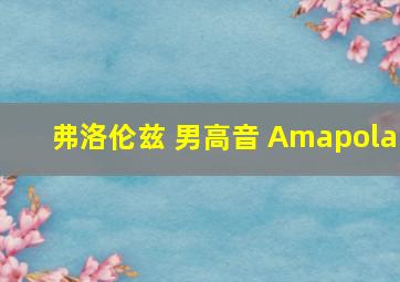 弗洛伦兹 男高音 Amapola